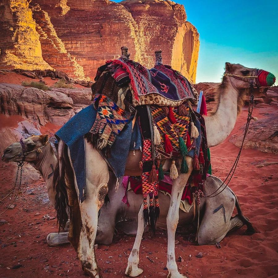 Wadi Rum Bedouin Time Eksteriør billede