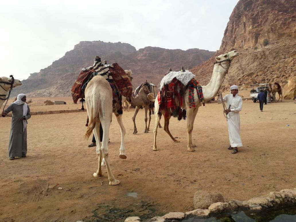 Wadi Rum Bedouin Time Eksteriør billede