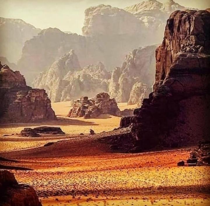 Wadi Rum Bedouin Time Eksteriør billede