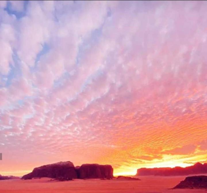 Wadi Rum Bedouin Time Eksteriør billede